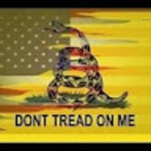 Meet your Posher, Samuel